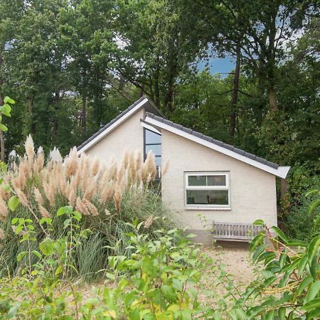 Elite Holiday Home In North Holland Near Forest Schoorl Eksteriør bilde