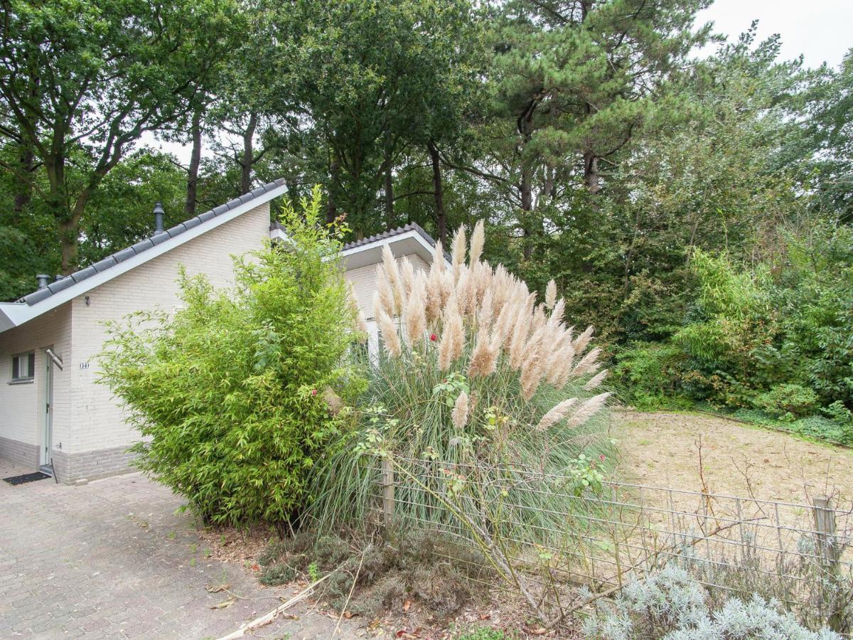 Elite Holiday Home In North Holland Near Forest Schoorl Eksteriør bilde